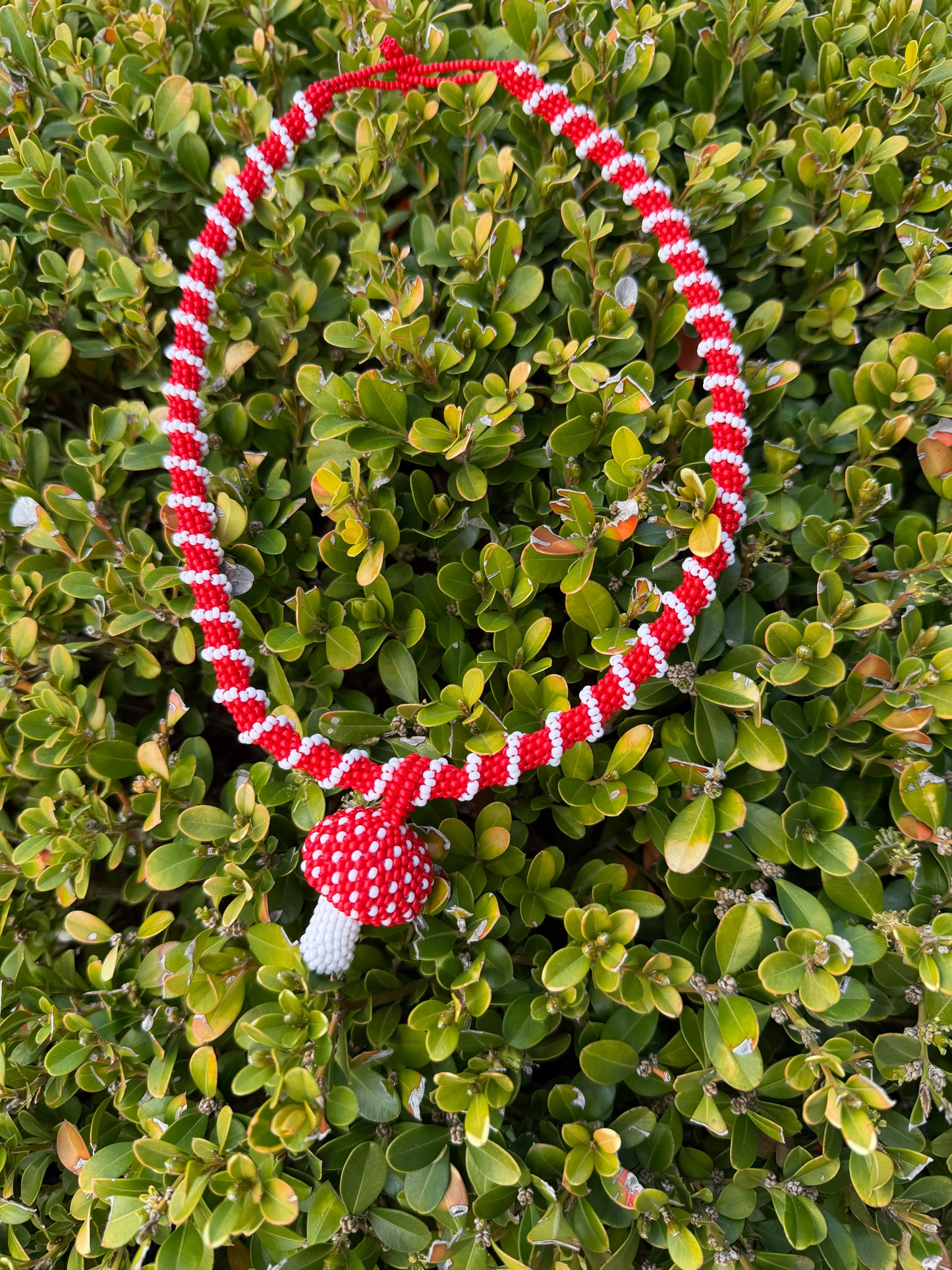 Collier champignon